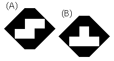 Which:Prototype-Pentomino