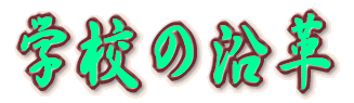 wZ̉v