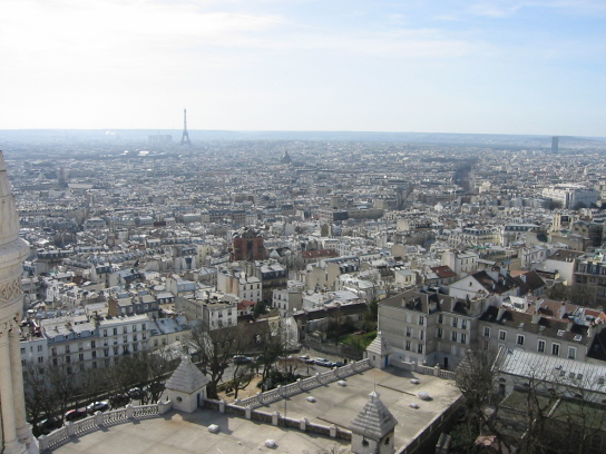 �T�N���E�N�[������̌i�F