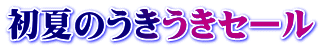 初夏のうきうきセール