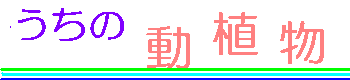 ̓A