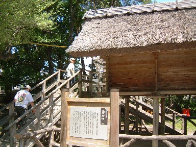 ꂽq