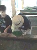 DSC00063_thumb.jpg