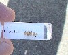 DSC00065_thumb.jpg