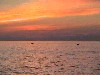 DSC00067_thumb.jpg