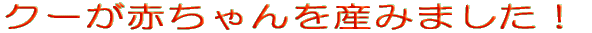 N[ԂY݂܂I 