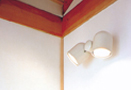 shikkui_photo
