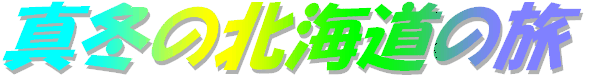 13N1