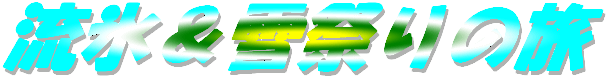 20N
