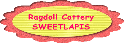 Ragdoll Cattery SWEETLAPIS 