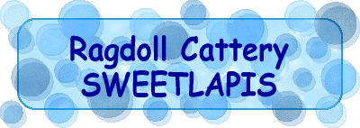 Ragdoll Cattery SWEETLAPIS 