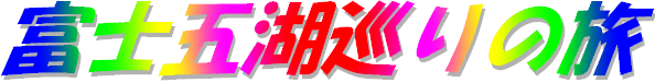 17N03
