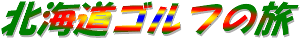95N6